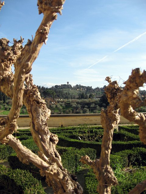 Boboli Gardens-33.JPG